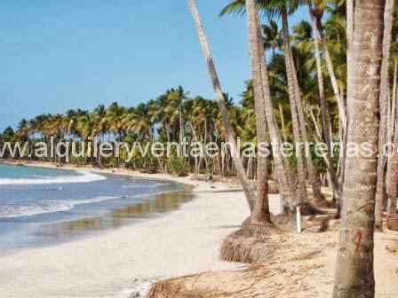 Beach House, rent and sale in Las Terrenas