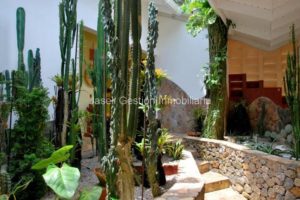 Casa Sol Caribe, Rent and sale in Las Terrenas