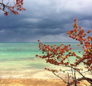 Balcones del Atlantico 1012, Rent and sale in Las Terrenas