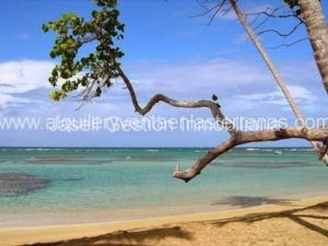 Casa Bella Vista, louer et vendre à Las Terrenas