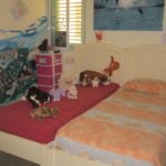 Apartamento Corte del Mar, louer et vendre à Las Terrenas