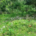 Villa La Barbacoa PM, louer et vendre à Las Terrenas