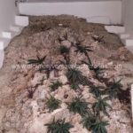 Villa La Barbacoa PM, louer et vendre à Las Terrenas