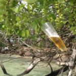 Apartamento Balcones del Atlantico INGM, louer et vendre à Las Terrenas