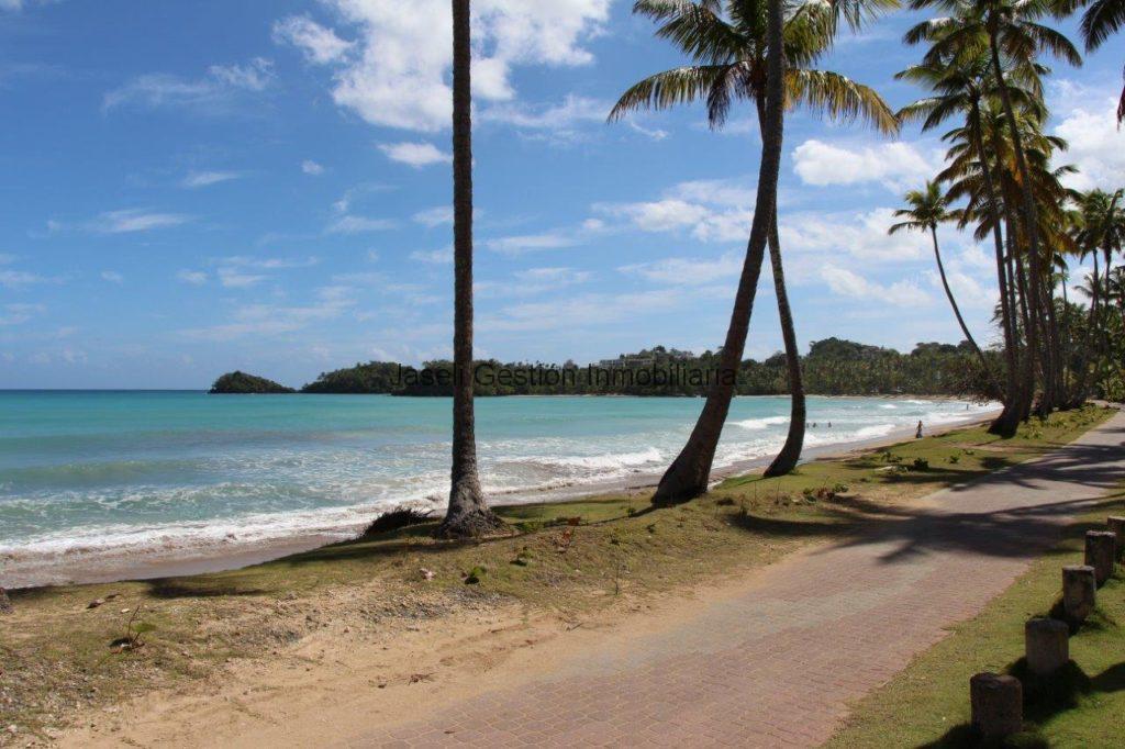 Casa Azul, louer et vendre à Las Terrenas