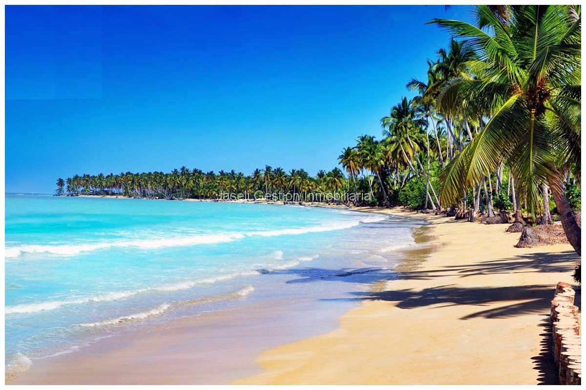 Playa Coson, Alquiler y venta en las terrenas