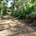 Residencial Coco y Mar Las Terrenas, Alquiler y venta en Las Terrenas