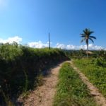 Residencial Coco y Mar Las Terrenas, Alquiler y venta en Las Terrenas