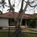 VILLA LAS FLORES, VILLA en venta en Las Terrenas RE/MAX PARADISE