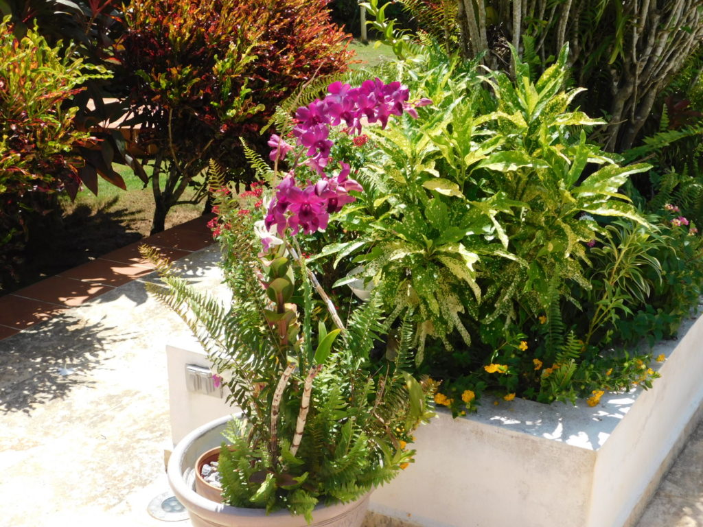 Villa Elvira, Villa en venta en Las Terrenas RE/MAX PARADIS