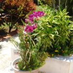 Villa Elvira, Villa en venta en Las Terrenas RE/MAX PARADIS