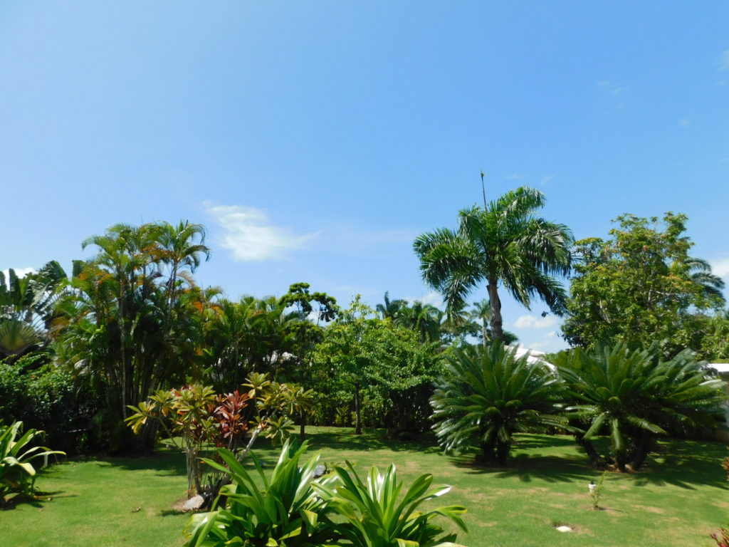 Villa Elvira, Villa en venta en Las Terrenas RE/MAX PARADIS